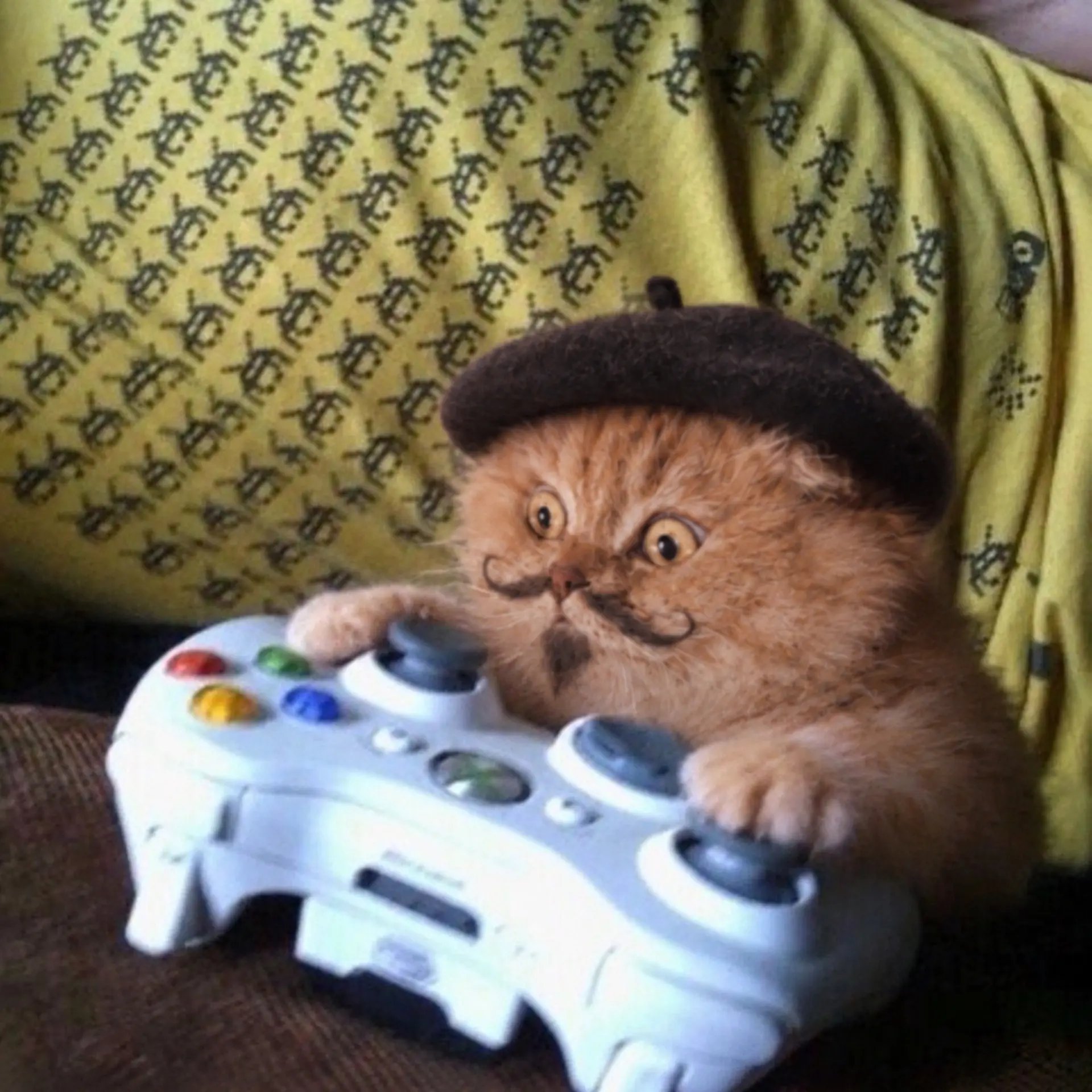 Mewsieur gripping a game controller