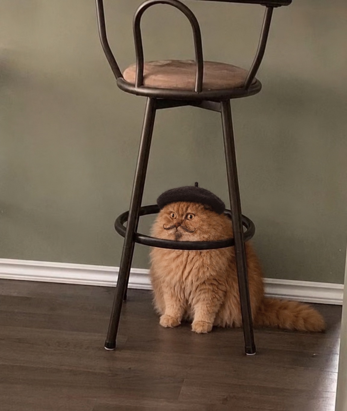 Mewsieur peeking out, wide-eyed, from under a barstool